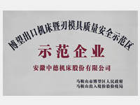 Bowang machine demonstration zone demonstration enterprises export